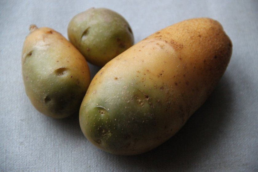 зелений картопля