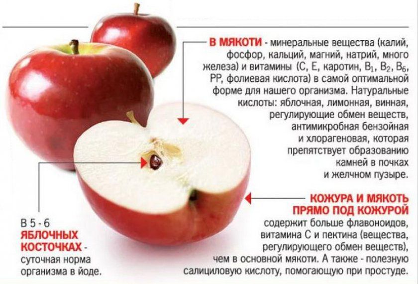 користь яблука
