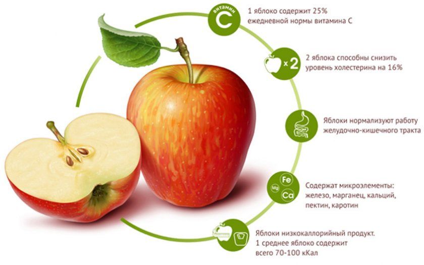 Корисні властивості яблука