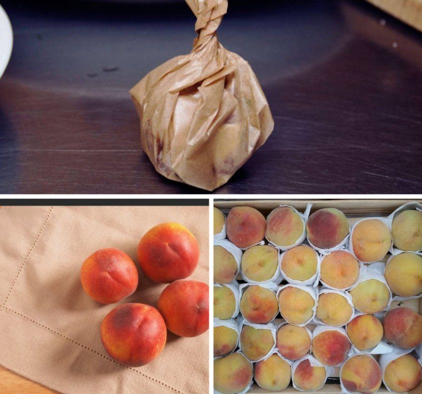 Зберігання врожаю персика