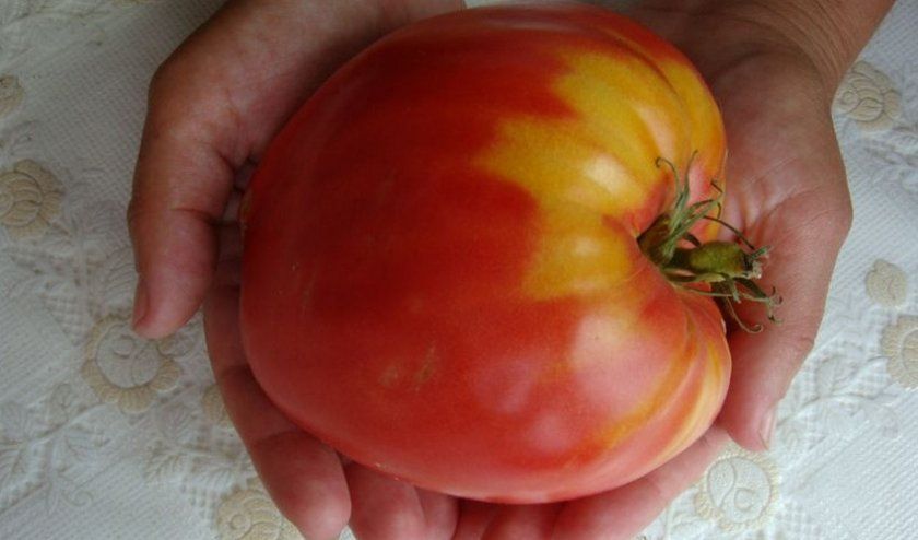 Минусинские томати