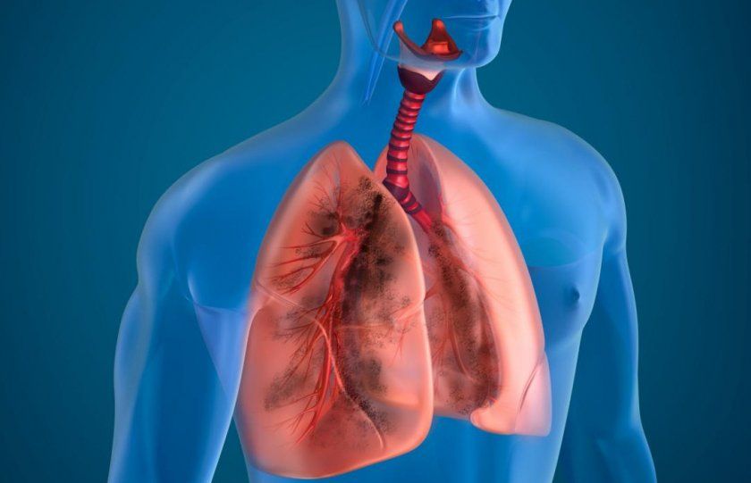 Трутовик при захворюваннях легенів