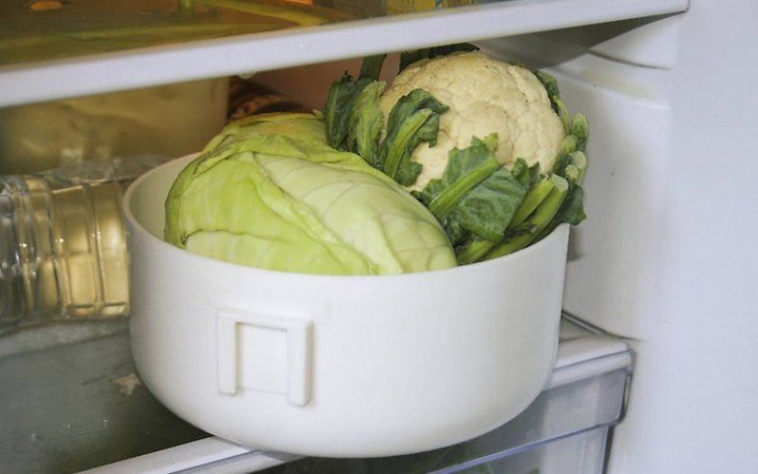 Зберігання капусти в холодильнику