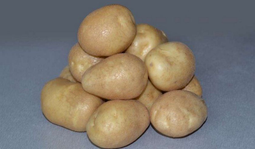 Картопля Бронницкий