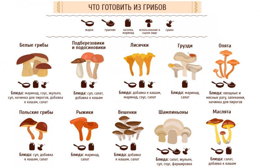 Що приготувати з грибів