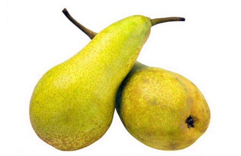 Плоди груші Кюре