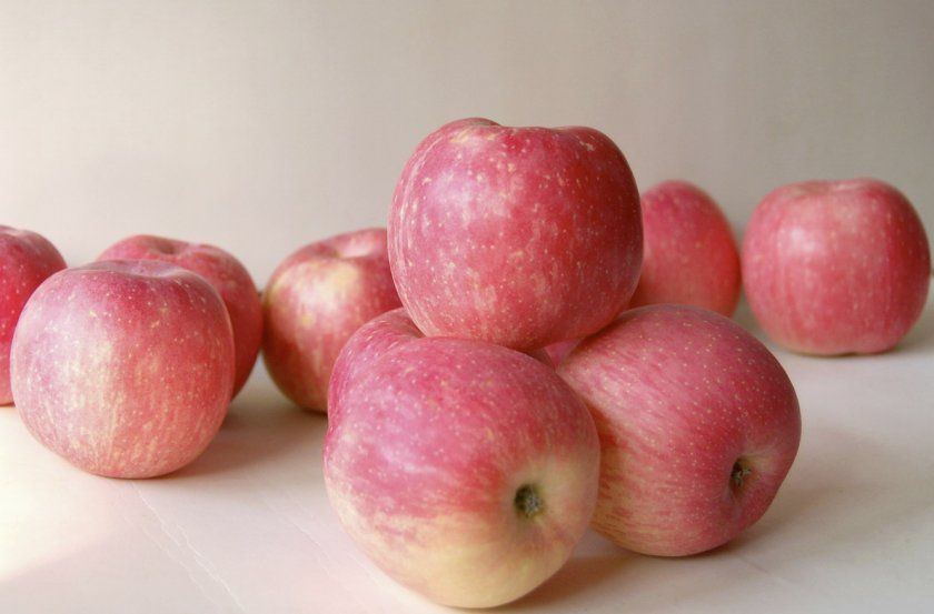 Переваги яблук Фуджі