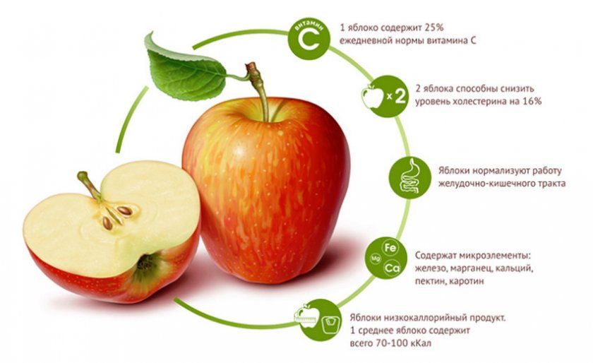 Корисні властивості яблука