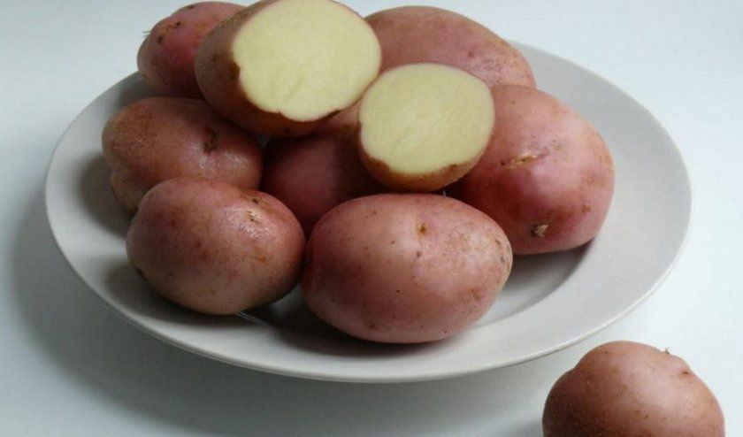 Картопля Романо
