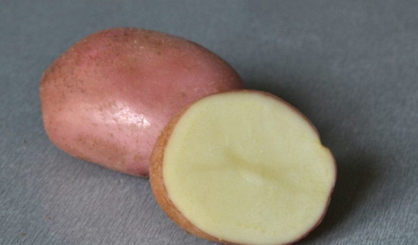 Картопля Романо
