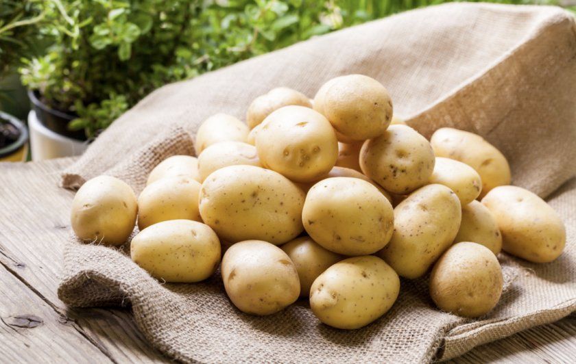 Переваги картоплі Здоровань