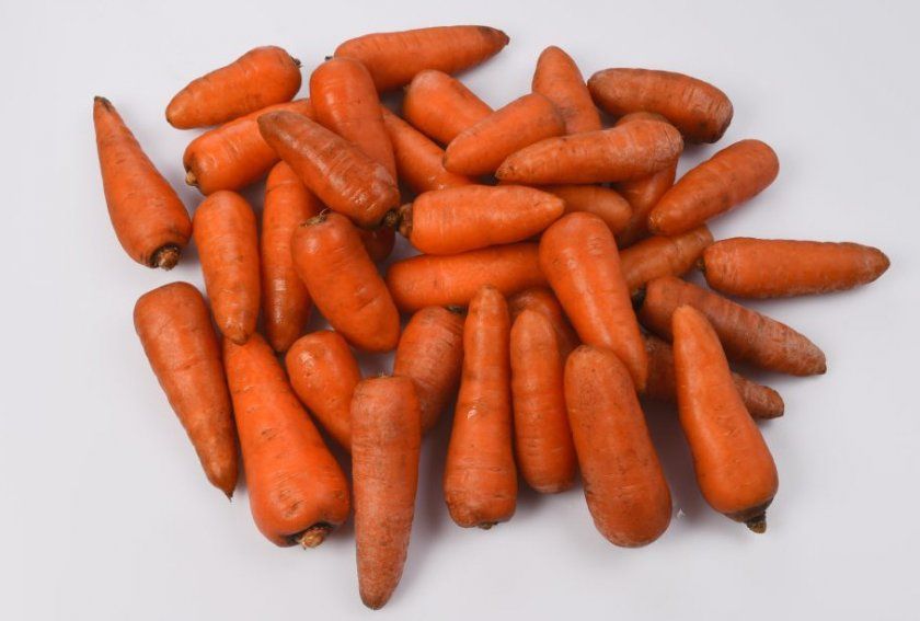 Морква сорти Ред Кор