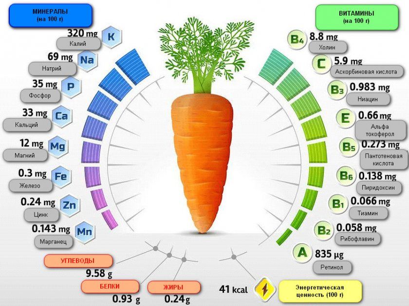 Вітамінний склад моркви