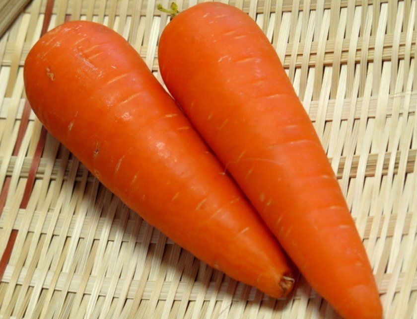 Морква сорти Оленка