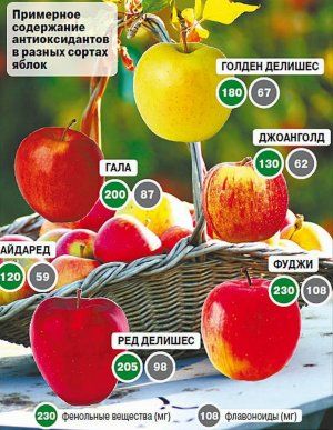 Антиоксиданти в яблуках
