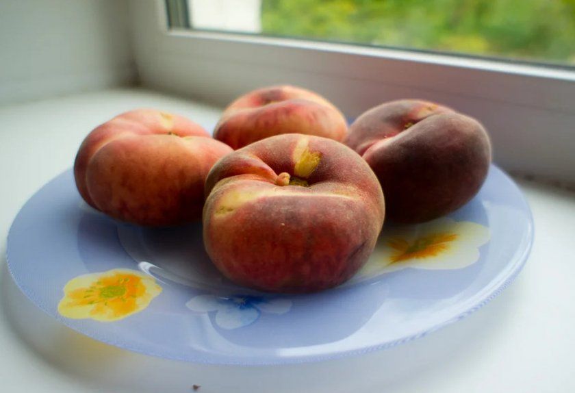 Зберігання інжировим персика