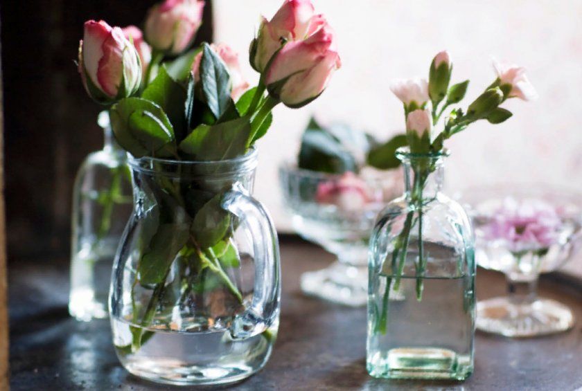 10 порад, як продовжити життя свіжозрізаних квітів