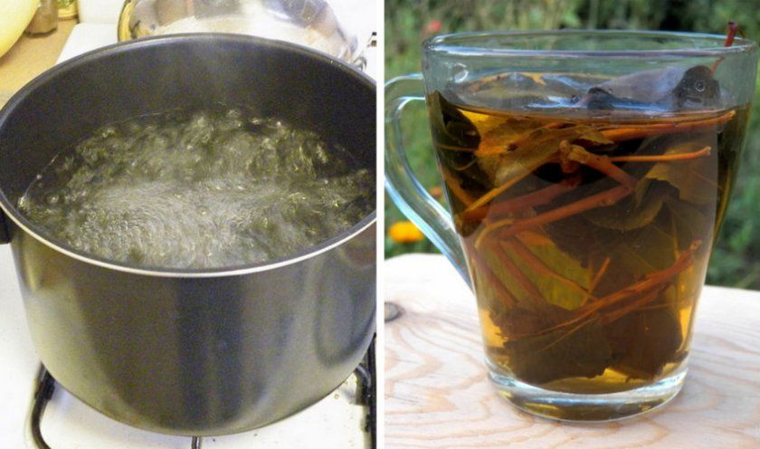 Приготування чаю з баданом і золотим коренем