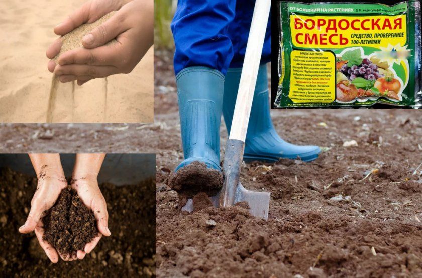 Підготовка ґрунту для посадки гортензії