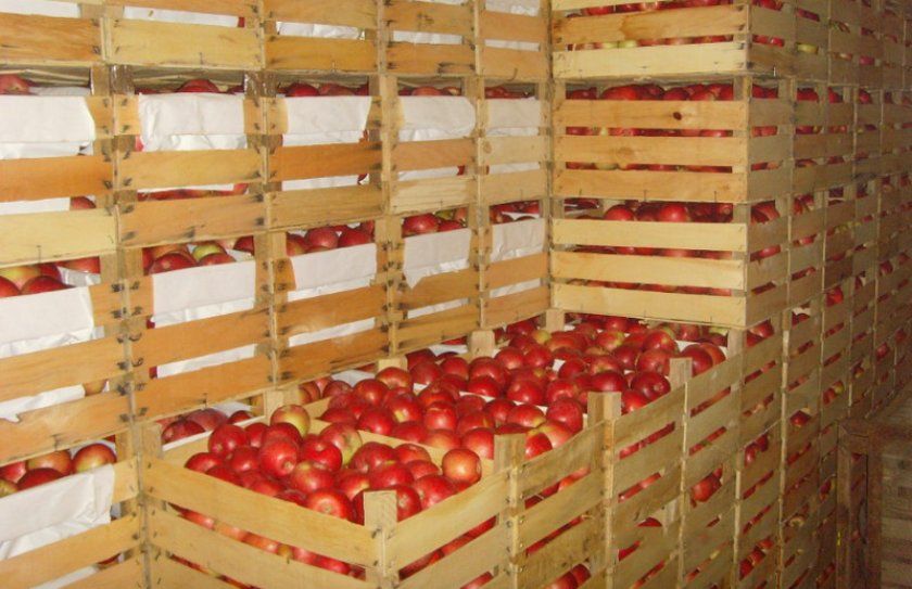 Зберігання яблук в ящиках