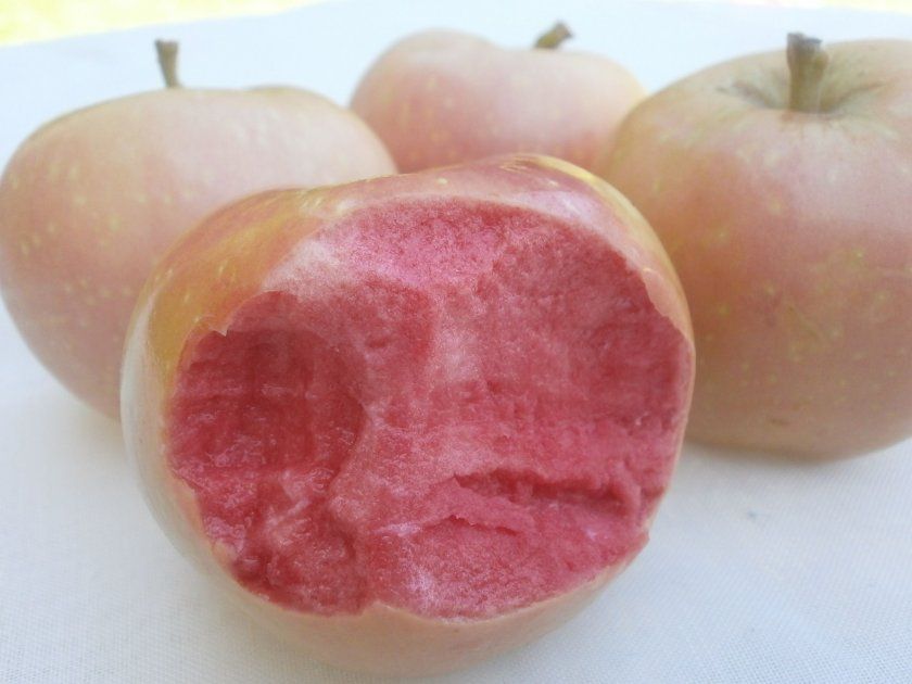 Яблука Рожеві перли