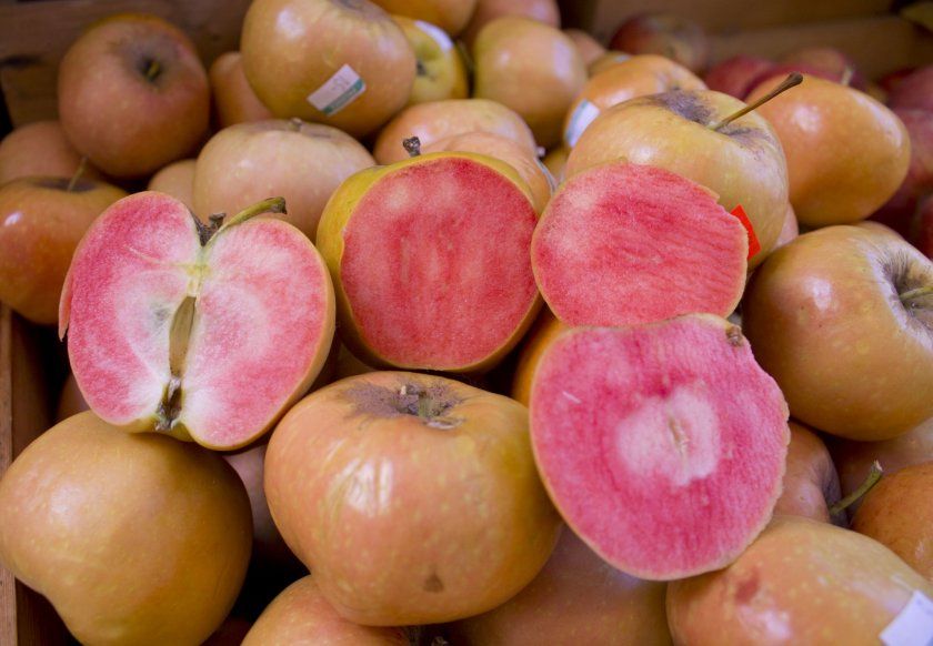 Урожай яблук сорту Рожевий перли