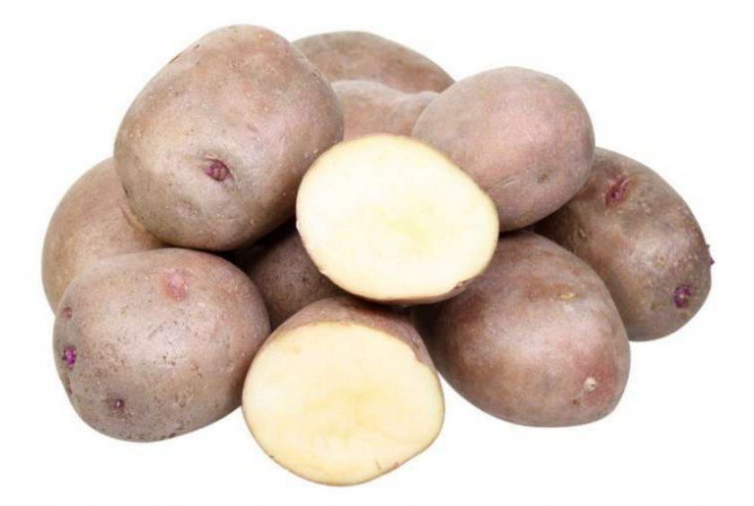 Картопля Іллінський
