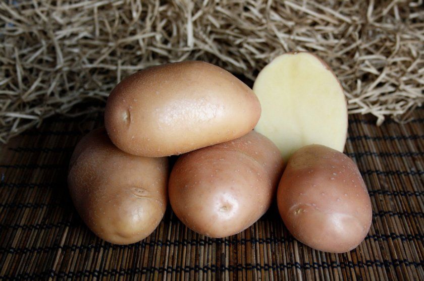 Картопля Ажур
