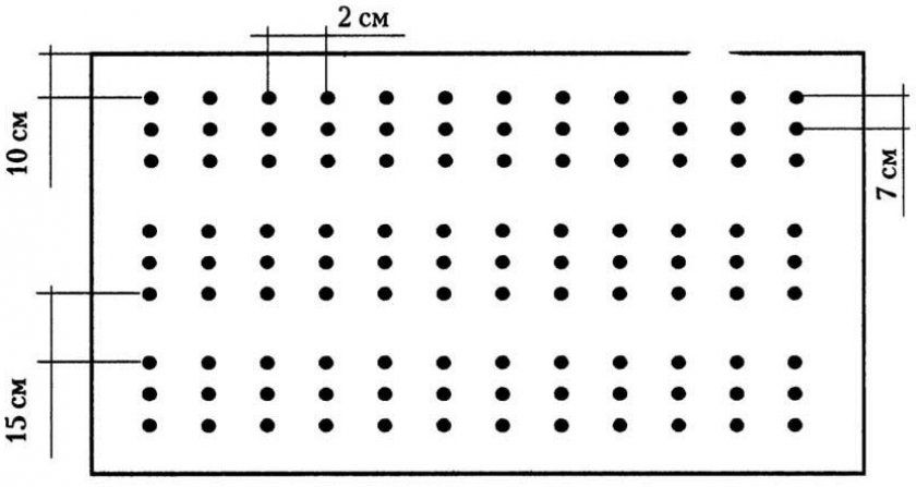 Схема посадки цибулин