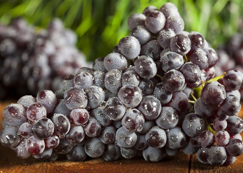 Як вибрати виноград для маринування