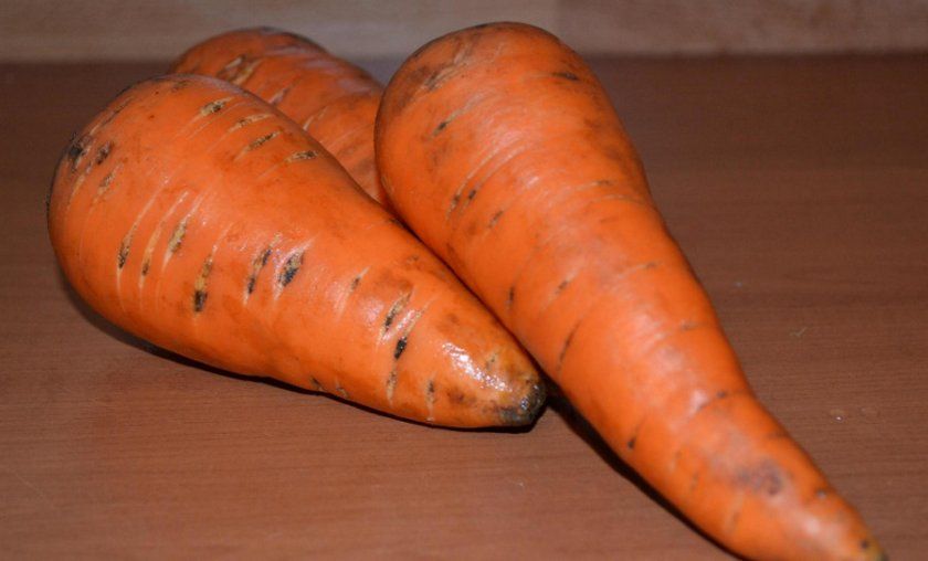 Морква сорти Осінній король