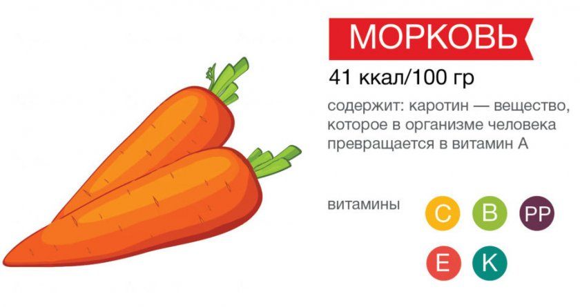 склад моркви