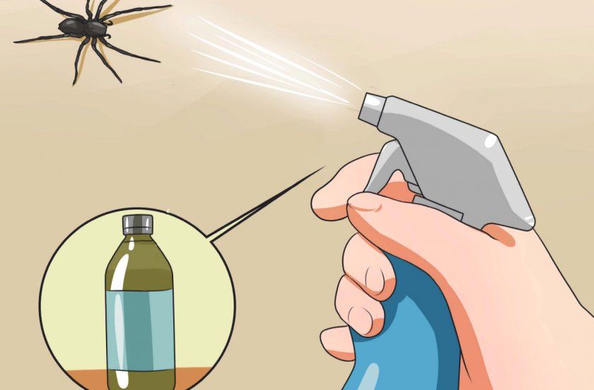Оцет для боротьби з павуками в будинку